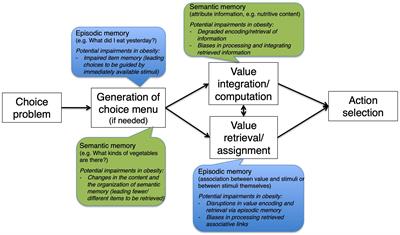 To What Extent Memory Could Contribute to Impaired Food Valuation and Choices in Obesity?